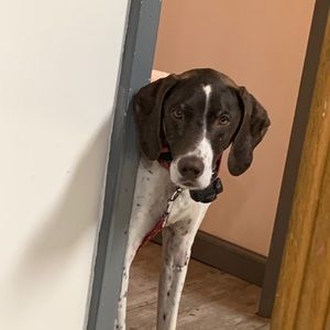 Meet your Posher, Troy